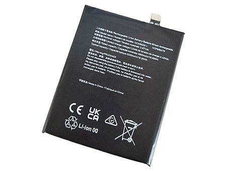 3.87V 19.35Wh Handy Akku für CAT CCW5000-1
